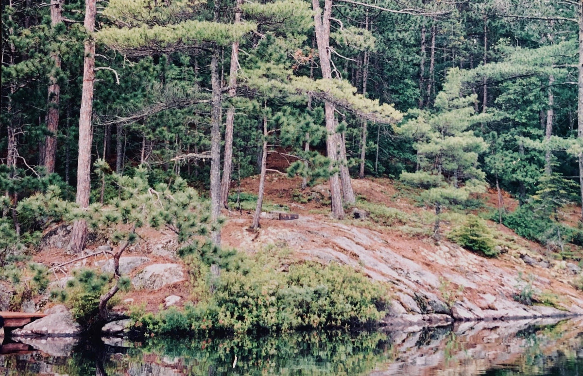 CABIN (take me to the)