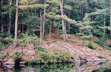 Load image into Gallery viewer, CABIN (take me to the)