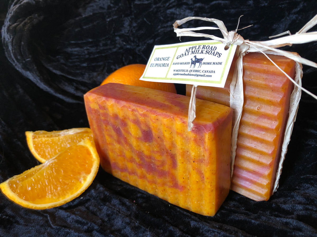 ORANGE EUPHORIA